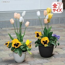 aʒ@12@y