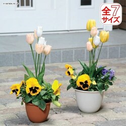 Z[k~h|bg@6@EH[x[W
