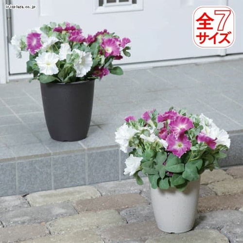 ゴールデン粒状培養土 14l 観葉植物用 G アイリスプラザ アイリスオーヤマ公式通販サイト