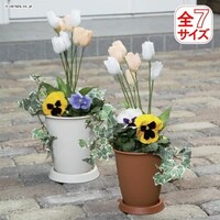 �Z���[�k�n�C�|�b�g�@9���@�E�H�[���x�[�W��