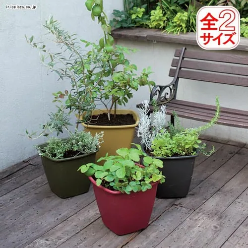 �ǉ����i�T���l�C��