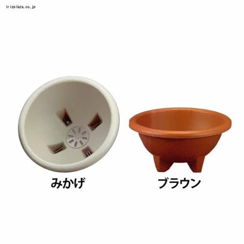 �ǉ����i�T���l�C��
