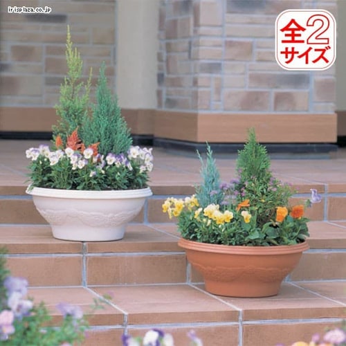 プランター 菜園の通販 園芸ペット専門店 アイリスプラザ アイリスオーヤマ公式通販サイト