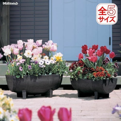 木原先生の「おいしい寄せ植え講座」