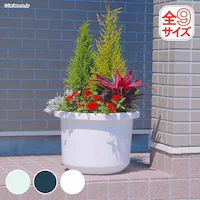 �e�B���g�����@8���@�݂���