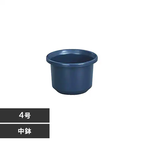 �e�B���g�����@4���@�u���[_0