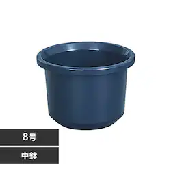 �e�B���g�����@8���@�u���[