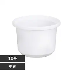 �e�B���g�����@10���@�z���C�g