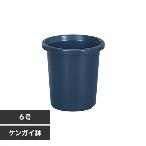 �e�B���g�P���K�C���@6���@�u���[_0