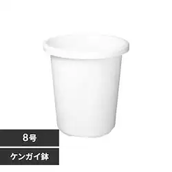 �e�B���g�P���K�C���@8���@�z���C�g