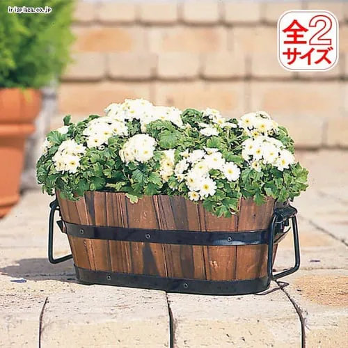 �ǉ����i�T���l�C��