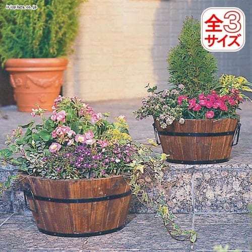 木原先生の「おいしい寄せ植え講座」