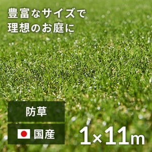 h1~11m