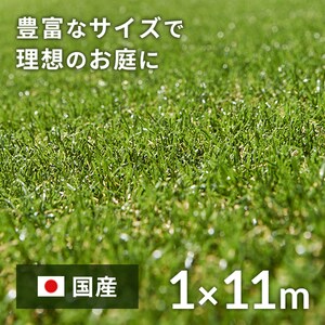 1~11m