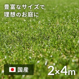 2~4m