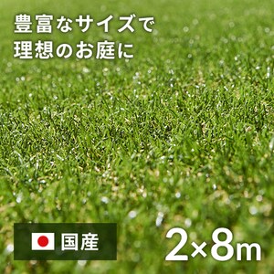 2~8m