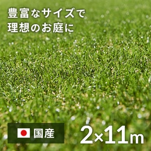 2~11m