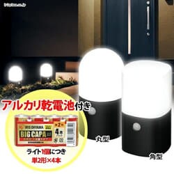 すぐに使える電池付き！【2個セット】電池式LEDガーデンセンサーライト