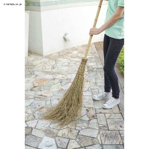 ^JV[ El|{[L CBB-01_1