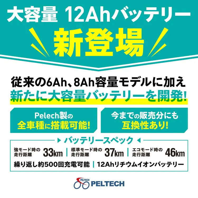 PELTECH ノーパンク 電動アシスト自転車 20型アルミ折り畳みフル装備 8Ah【簡易組立必要品】 TDN-212LN 【時間指定不可】【代引不可】【同梱不可】【プラザセレクト】