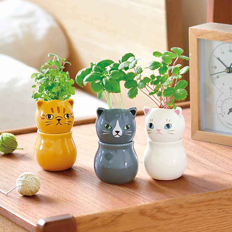 コロコロ キャット GD-102601 GD-102602 GD-102603 【プラザセレクト】