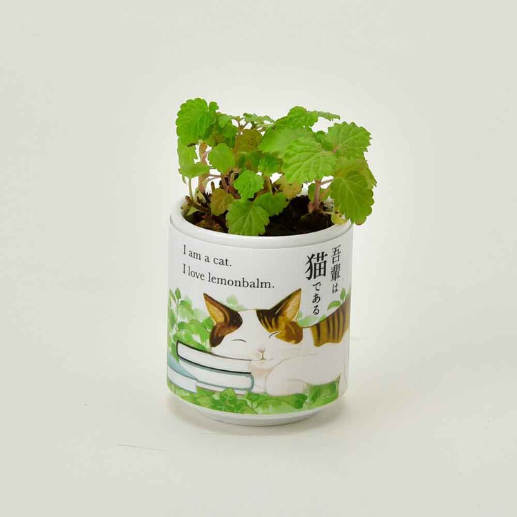 【4種セット】お芽でたおちょこ 吾輩猫(ミント・レモンバーム・ワイルドストロベリー・クローバー) 【プラザセレクト】