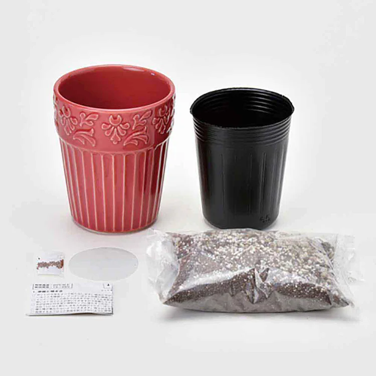 【3種セット】グレイス ガーデン(ワイルドストロベリー・ミニヒマワリ・四つ葉のクローバー) 【プラザセレクト】