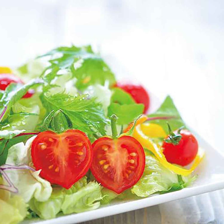 ハートマト栽培キット GD-1032 【プラザセレクト】