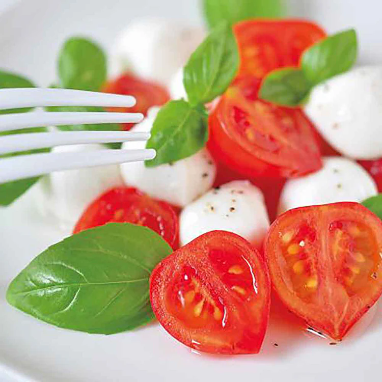 ハートマト栽培キット GD-1032 【プラザセレクト】