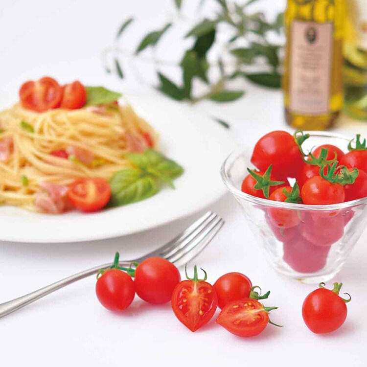 ハートマト栽培キット GD-1032 【プラザセレクト】