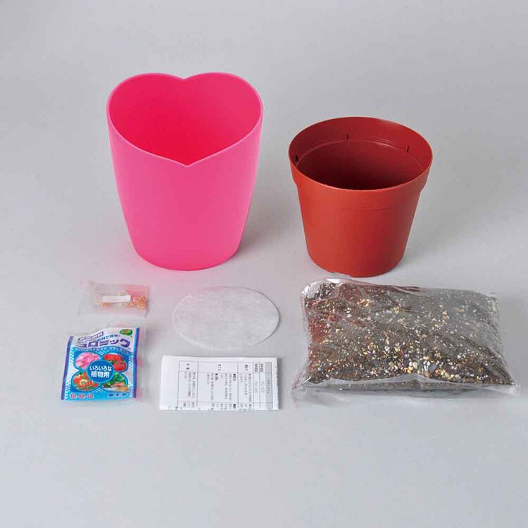 摘みたてイチゴ栽培セット GD-1000 【プラザセレクト】