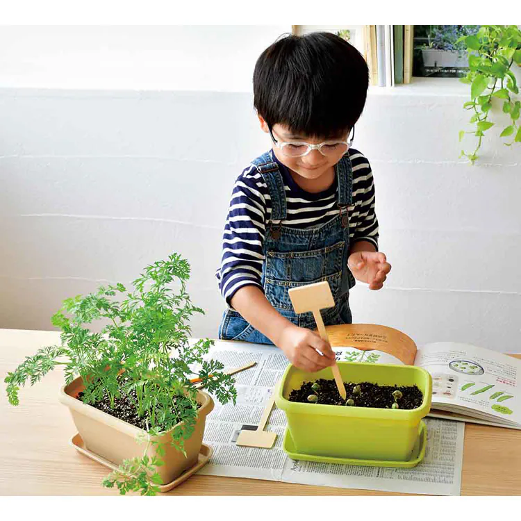 【4種セット】エンジョイプランター(イチゴ・えだまめ・ミニトマト・ミニヒマワリ) 【プラザセレクト】