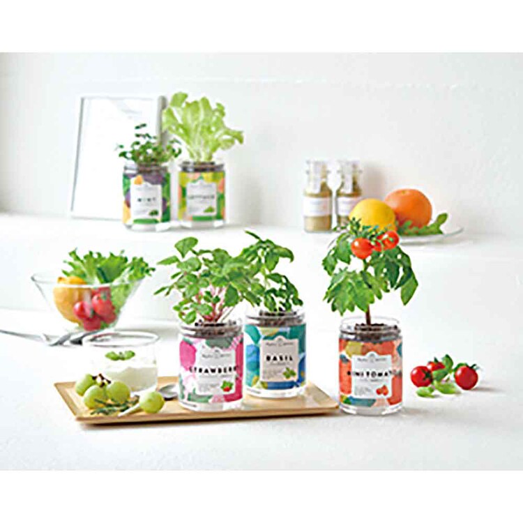 グリーンペット GD-100201  GD-100202  GD-100203  GD-100204  GD-100205 【プラザセレクト】