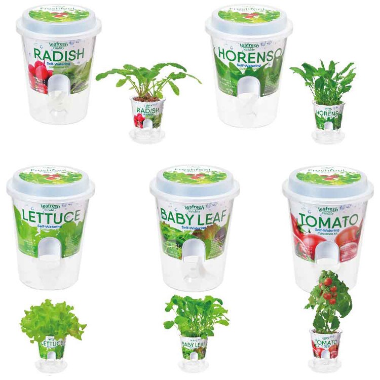 フレッシュフィール GD-81901  GD-81902 GD-81903 GD-81904 GD-81906 【プラザセレクト】