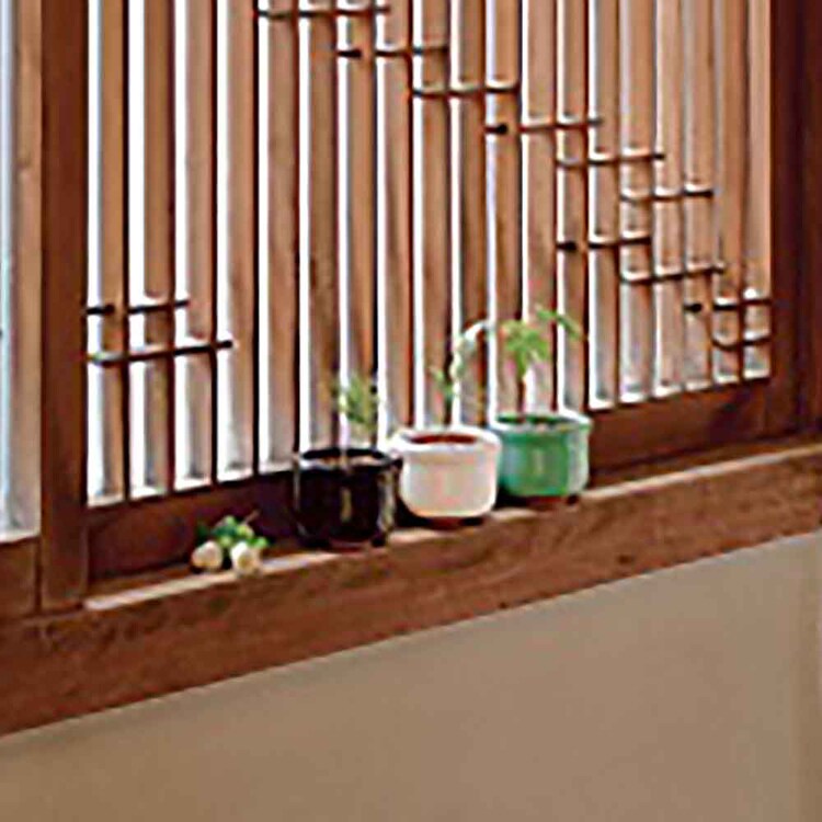 HACO MAME 盆栽栽培セット GD-96501  GD-96502  GD-96504 【プラザセレクト】