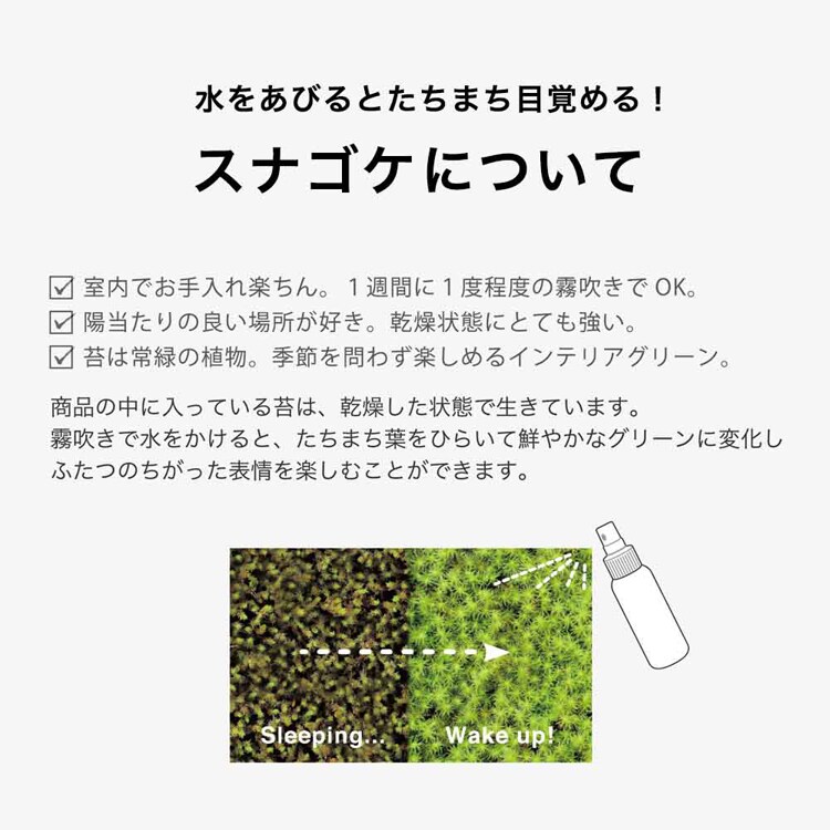 瓦盆景 KAWARA-BONKEI GD-1010 【プラザセレクト】