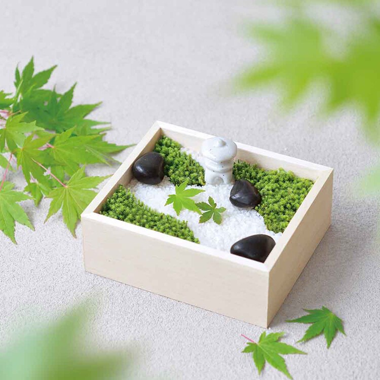 苔盆 GD-719 【プラザセレクト】