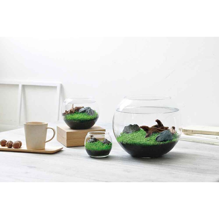 育てる水草(L) GD-813 【プラザセレクト】