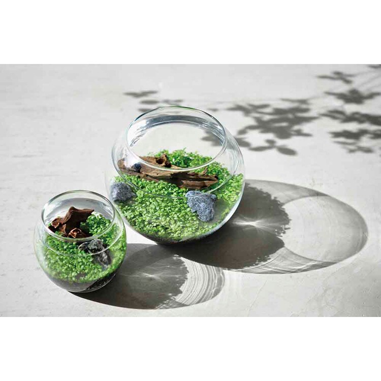 育てる水草(L) GD-813 【プラザセレクト】