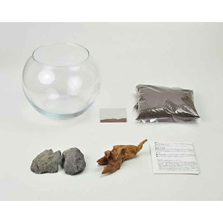 育てる水草(L) GD-813 【プラザセレクト】