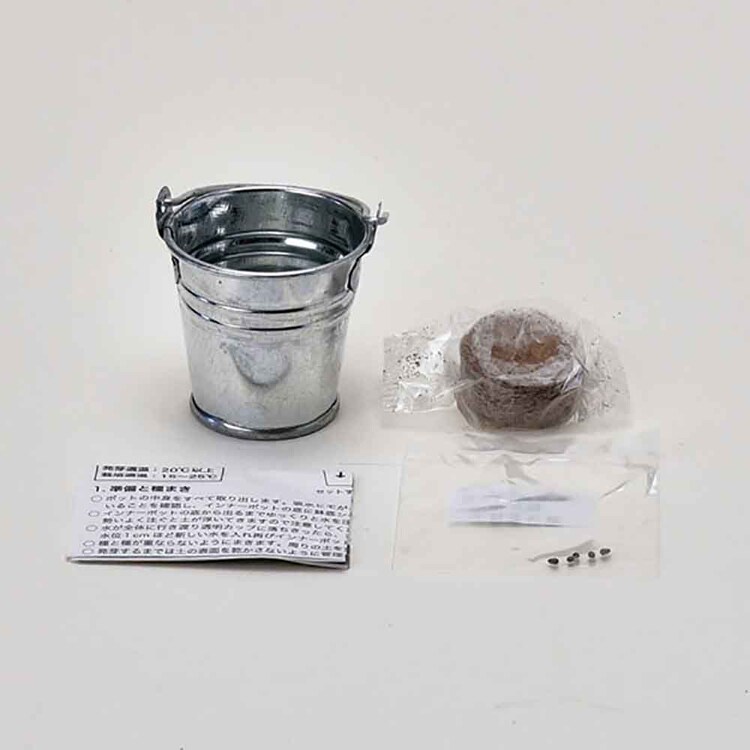 サボバケツ栽培キット GD-103401  GD-103402  GD-103403 【プラザセレクト】