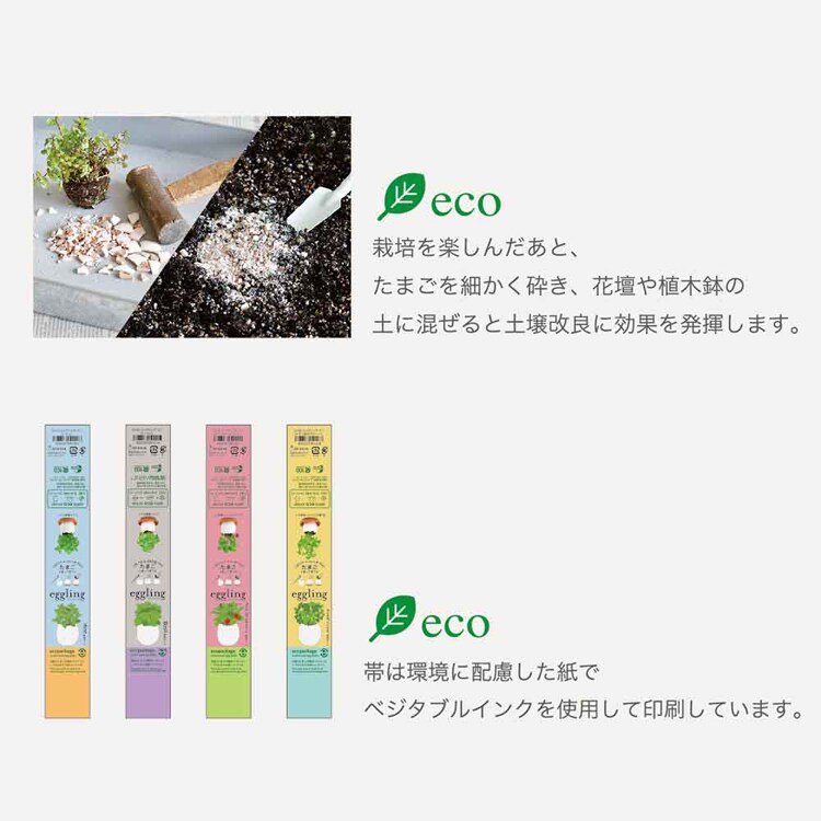 【4種セット】エッグリング エコ（ミント・バジル・ワイルドストロベリー・四つ葉のクローバー） 【プラザセレクト】