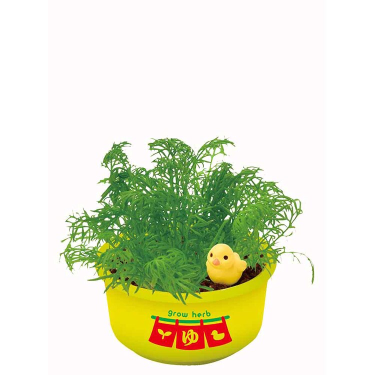 【4個セット】育てるカプセル ゆ桶でハーブ栽培 【プラザセレクト】