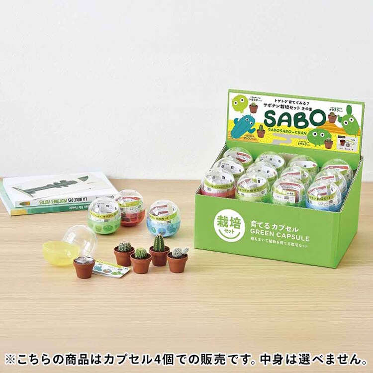 【4個セット】育てるカプセル サボテン 【プラザセレクト】