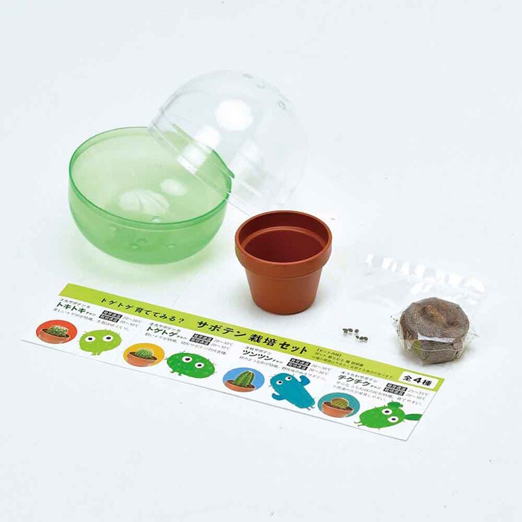 【4個セット】育てるカプセル サボテン 【プラザセレクト】