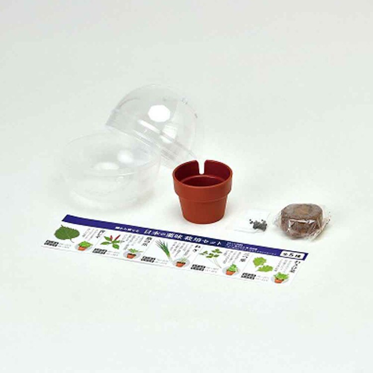 育てるカプセル 薬味 GD-926 【プラザセレクト】