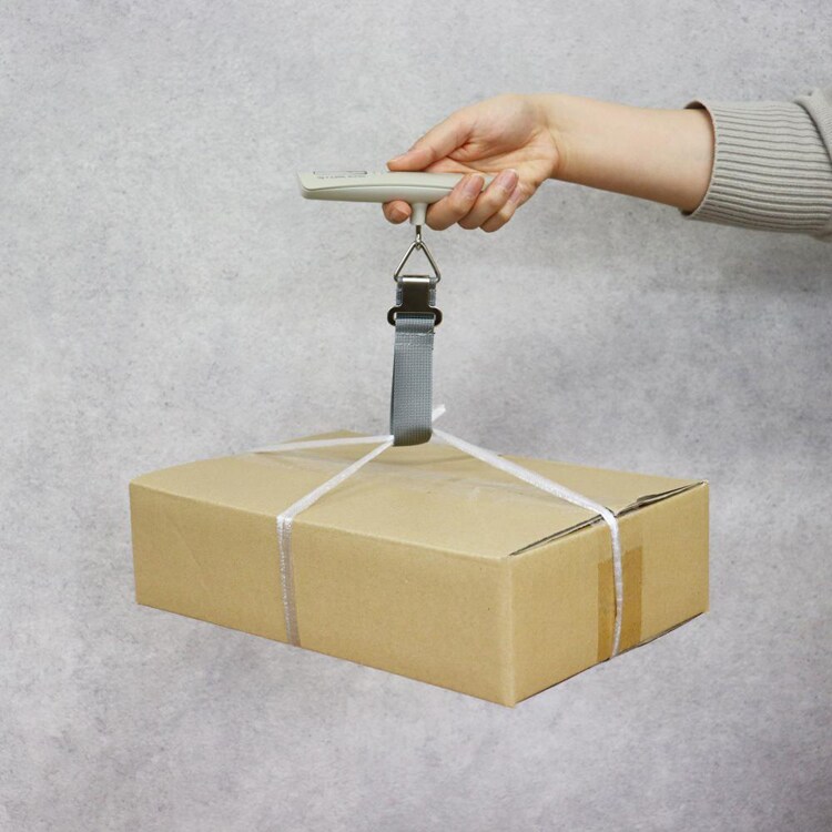 ドリテック 荷物はかり ラゲッジスケール LS-107BE 【プラザセレクト】