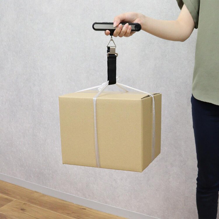 ドリテック 荷物はかり ラゲッジスケール バックライト付き ブラック LS-108BK 【プラザセレクト】