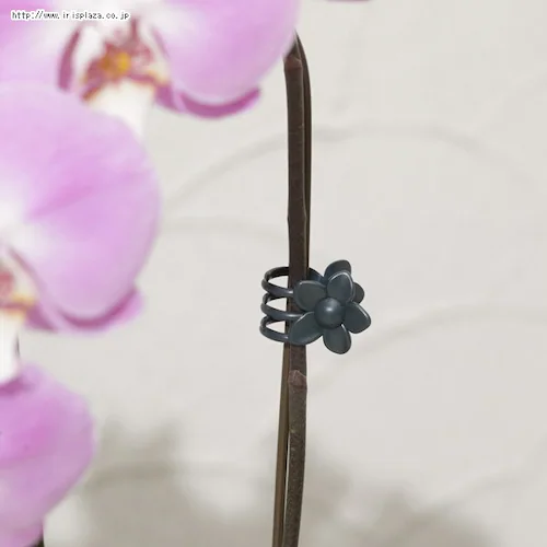 t[Nbv 10~5 GCP-04yvUZNgz_1