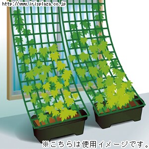 グリーンカーテン用プランター 550 ハーブグリーン G101748 │アイリス